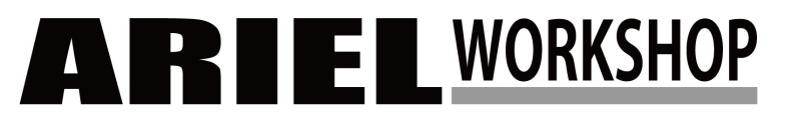 Ariel Workshop Logo